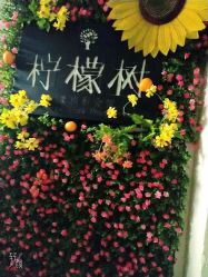 点击看大图 -童趣自然光儿童摄影工作室