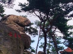 -崂山仰口游览区