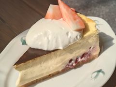 车厘子草莓巴斯克-SAFARI COFFEE