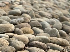 -桤木河湿地公园