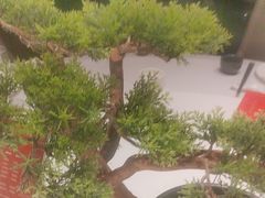 -百富源·海鲜辽菜(和平北大街店)