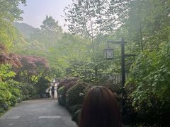 -康福宝盲人推拿(戒坛寺巷社区店)