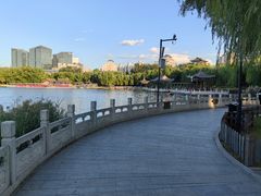 -莲花池公园