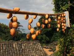 -杨家堂村