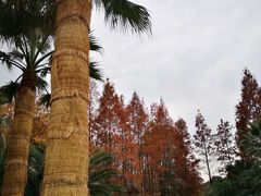 -苏州河梦清园环保主题公园