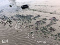 -大连圣亚海洋世界