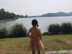 -东湖落雁景区