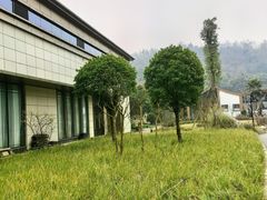 -夜不收荤豆花(大邑总店)