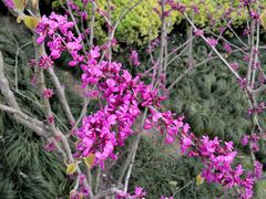 -杭州城北体育公园