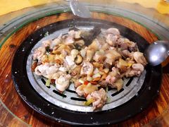 三黄鸡-渔文乐农庄