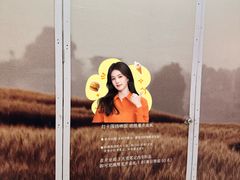 -美罗城