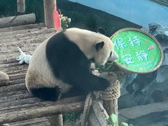 -大连森林动物园