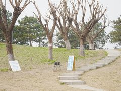 -小意思咖啡店(草桥店)