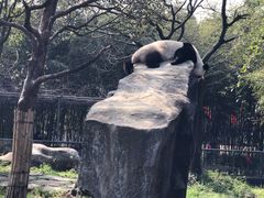-宁波野生动物园
