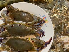 -领鲜活海鲜榴莲自助火锅(东门店)