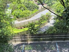 -福道