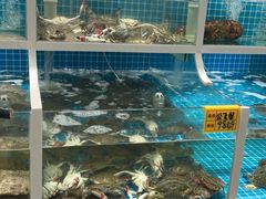 -老船长海鲜加工店(世纪家园店)