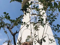 -上海海事大学(临港校区)