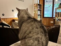 -隅cafe(傅厚岗店)