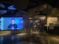 -百美汇影城(LUXE嘉里中心店)