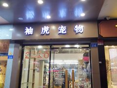 -袖虎宠物·金渐层缅因猫舍(灵芝店)