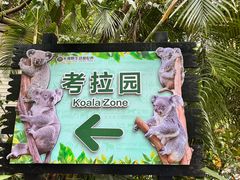 -广州长隆野生动物世界