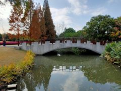 -上海滨江森林公园