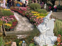 -南山植物园