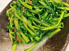 南乳空心菜-十六台·经典广东菜(德外大街店)