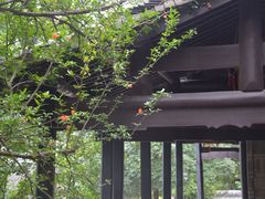 -阳明祠