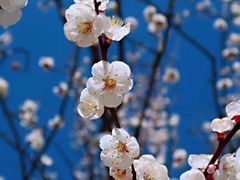 -九鼎铁刹山风景区