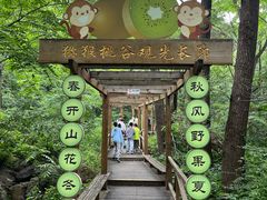 -大岭沟猕猴桃谷风景区