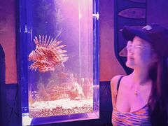 -哈尔滨波塞冬海底世界