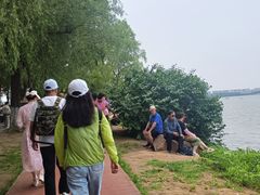 -丁香湖公园
