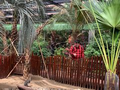 -呀路古热带植物园