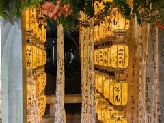 -百花洲