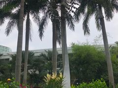 -深圳国际园林花卉博览园