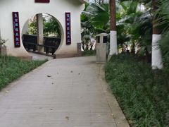 -重庆彩云湖湿地公园