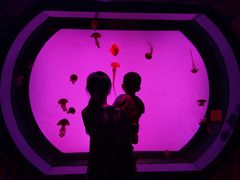 -沈阳海洋探索中心