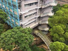 -香港大学