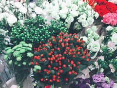 -双季花艺园艺市场(浦东店)