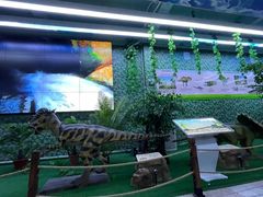 -深圳野生动物园