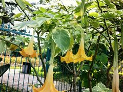 -国家植物园南园