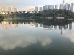 -重庆彩云湖湿地公园