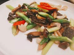 羊肚菌时令炒素-上海小南国(世博源店)