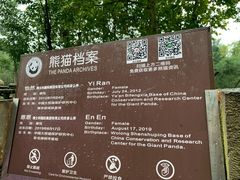 -都江堰中华大熊猫苑