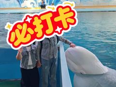 -蓬莱欧乐堡海洋极地世界
