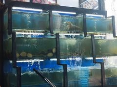 水产区-老东镇啤酒屋海鲜加工·蒸汽海鲜·海鲜烧烤(台东店)