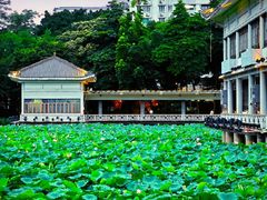 -荔湾湖公园