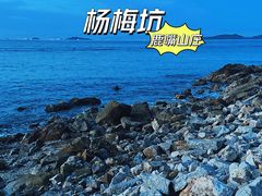 -杨梅坑